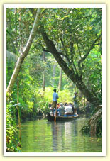alleppey backwater