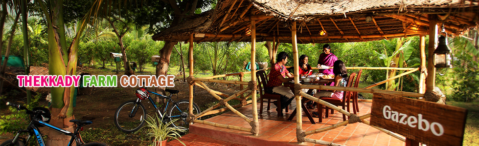 thekkady farm cottage