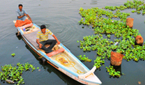 Alleppey Open Canoe